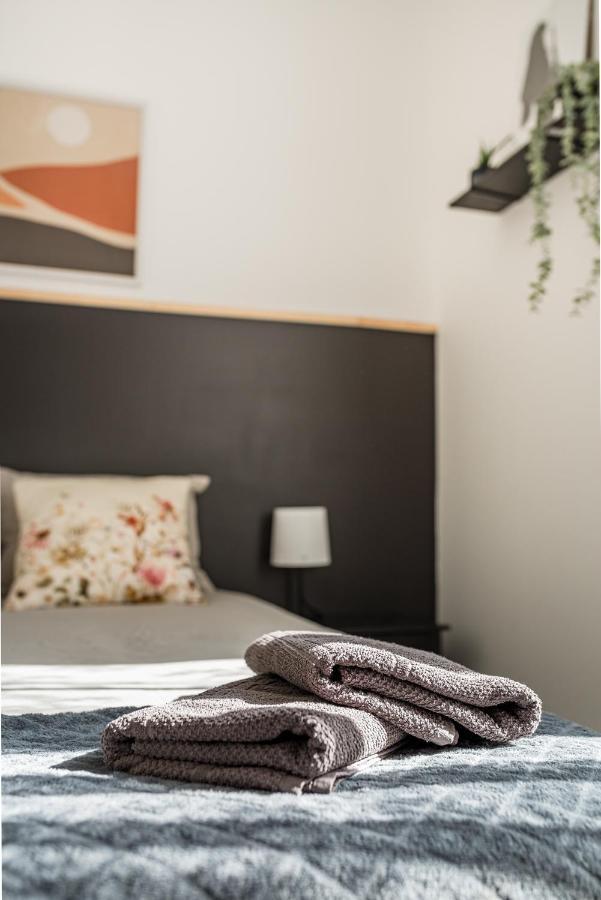 Superbe Appartement Cosy Avec Terrasse Сент-Этьен Экстерьер фото